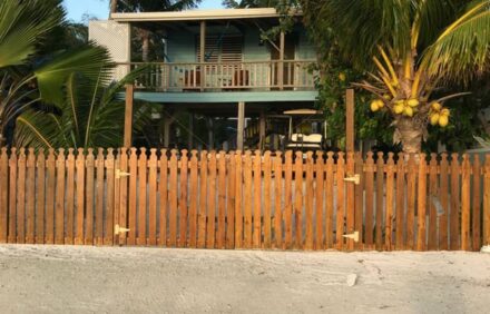 Carolyn’s Other House