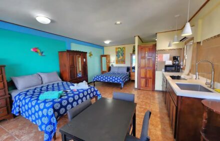 Popeyes Beach Condos – Unit #20 | Ocean and Pool View Condo