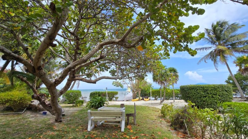 amalia beachfront area